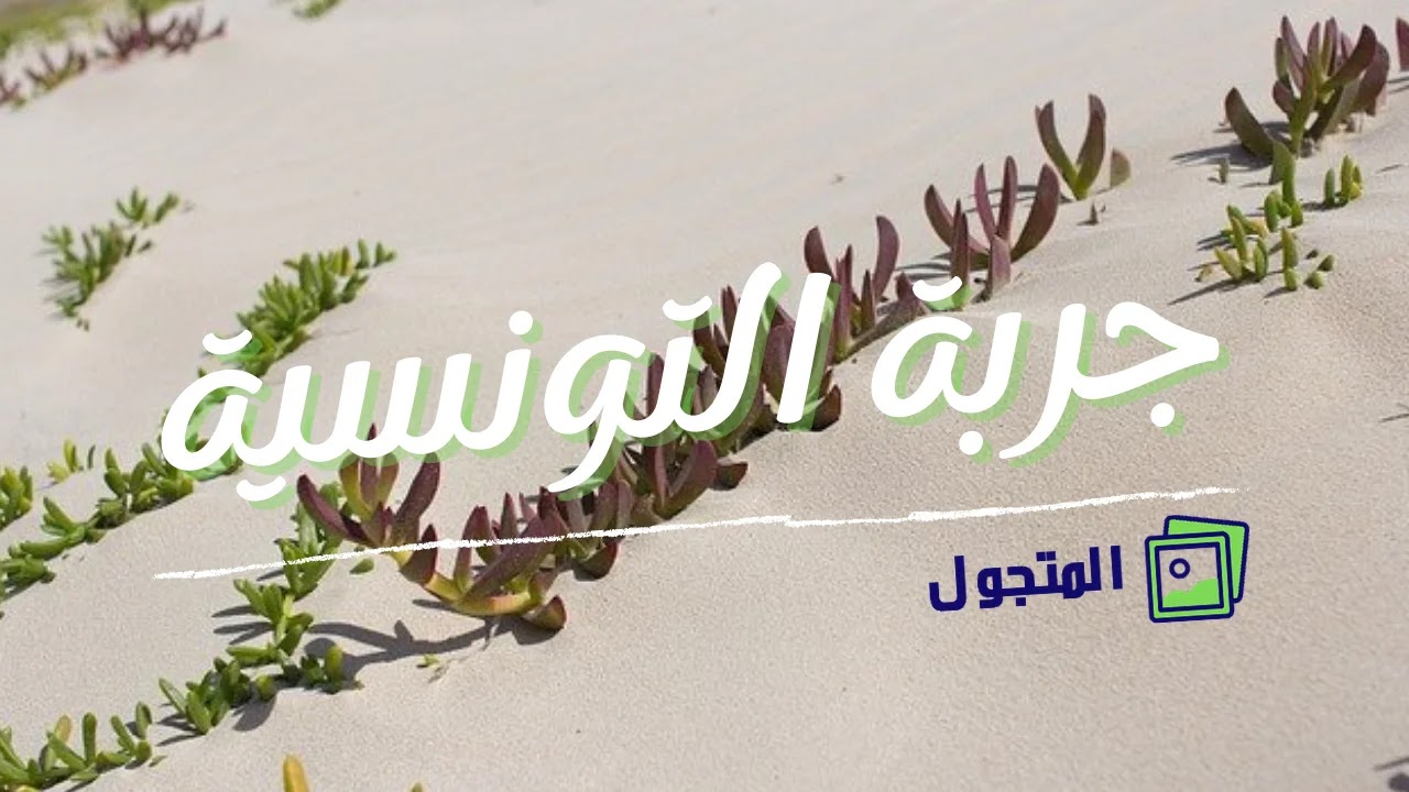 6 أشياء تفعلها في مدينة جربة التونسية | لؤلؤة البحر الأبيض المتوسط
